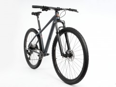 Lee Cougan Rebel SRAM SX Eagle 17
