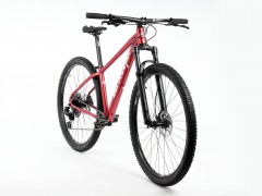 Lee Cougan Rebel SRAM SX Eagle 17