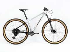 Lee Cougan Revenge SRAM SX Eagle 20