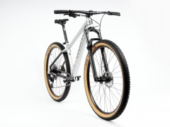 Lee Cougan Revenge SRAM SX Eagle 20