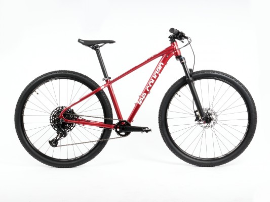 Lee Cougan Rebel SRAM SX Eagle 17"/Small rot Allround Hardtail